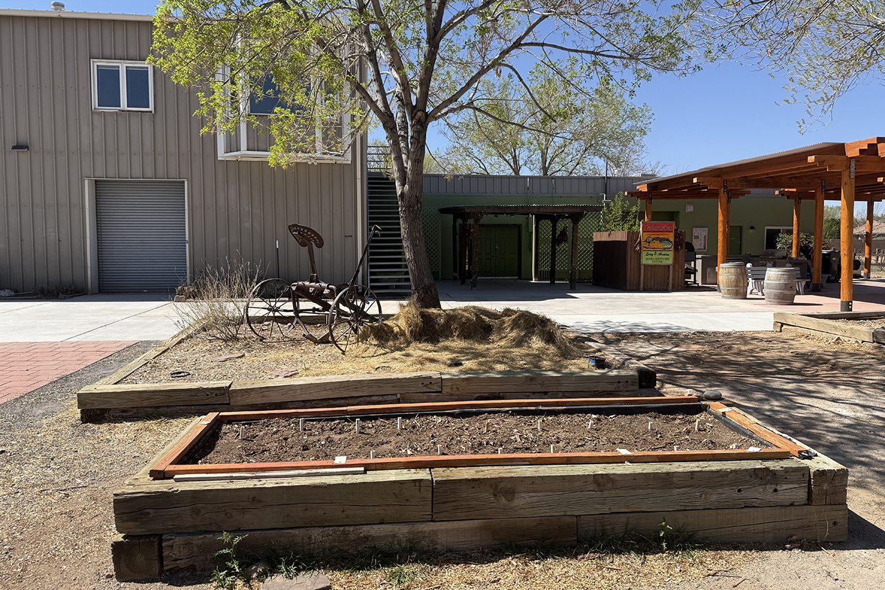 Agri-Nature Center Dahlia Projects