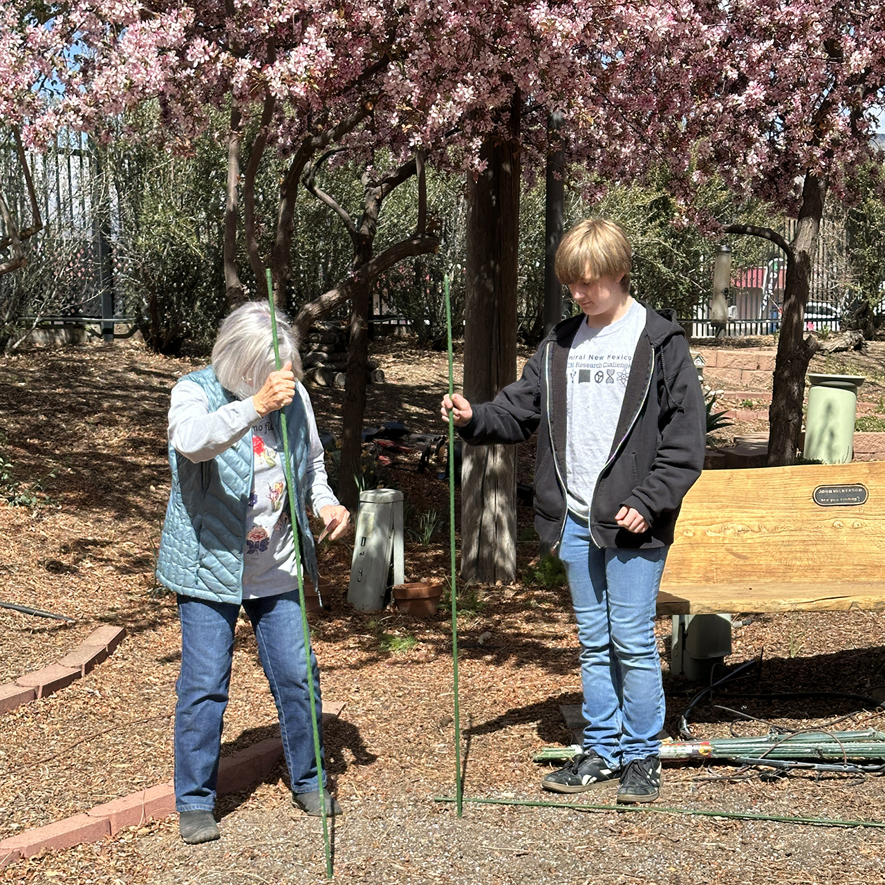 New Mexico Dahlia Society Meeting Meeting 04-06-2025