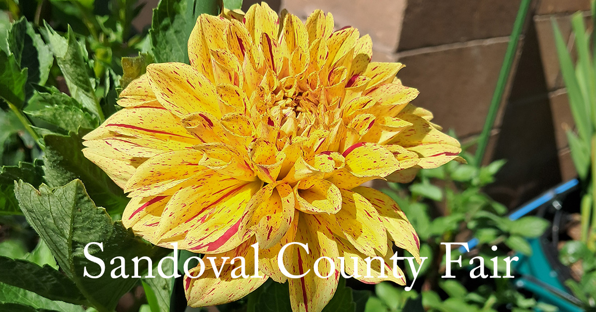 NMDS at the Sandoval County Fair
