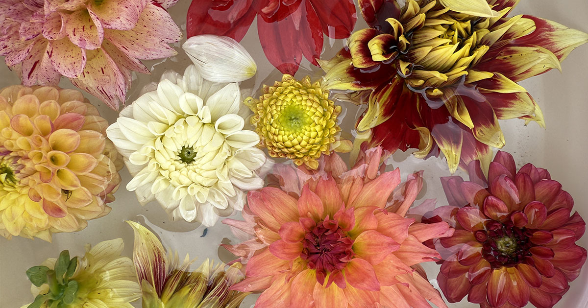 NMDS Classes At Argi-Nature Center